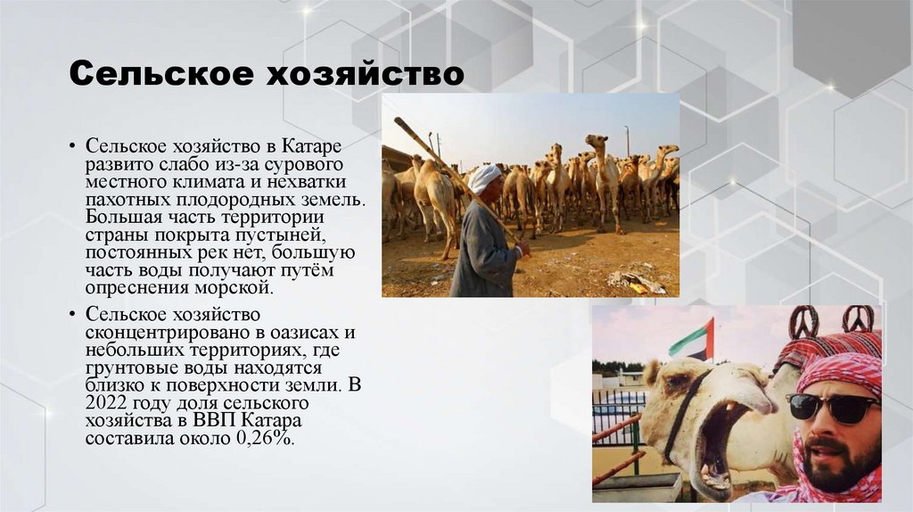 Сельское хозяйство