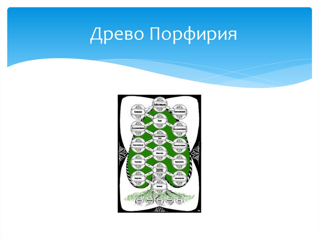Древо Порфирия