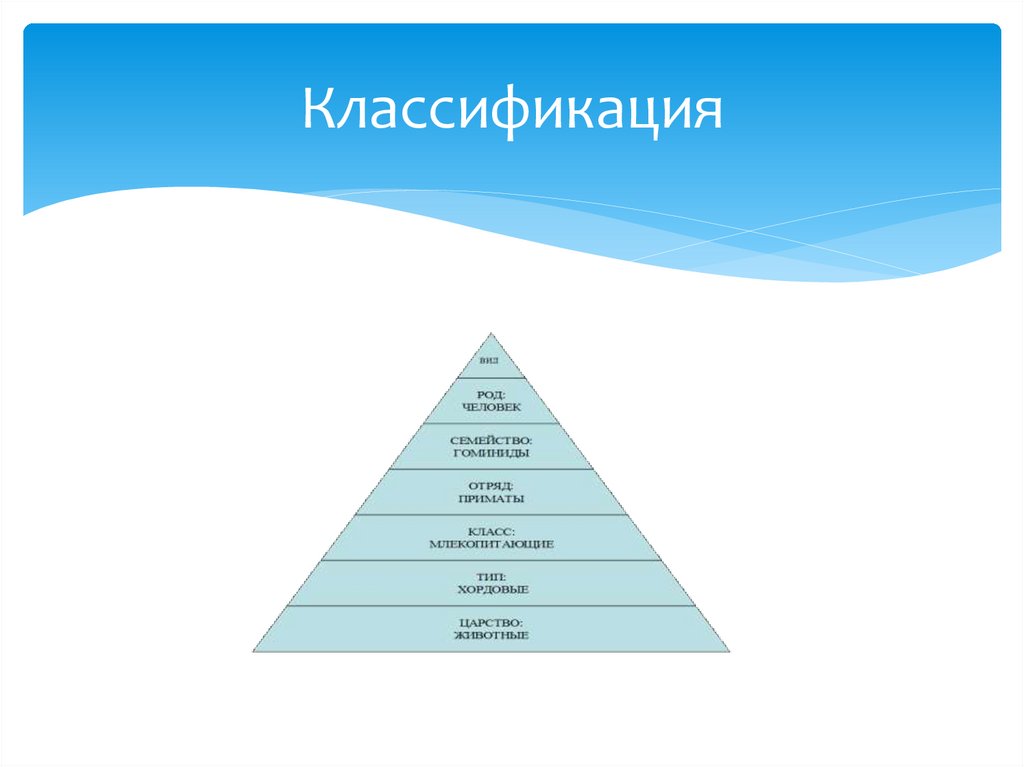 Классификация