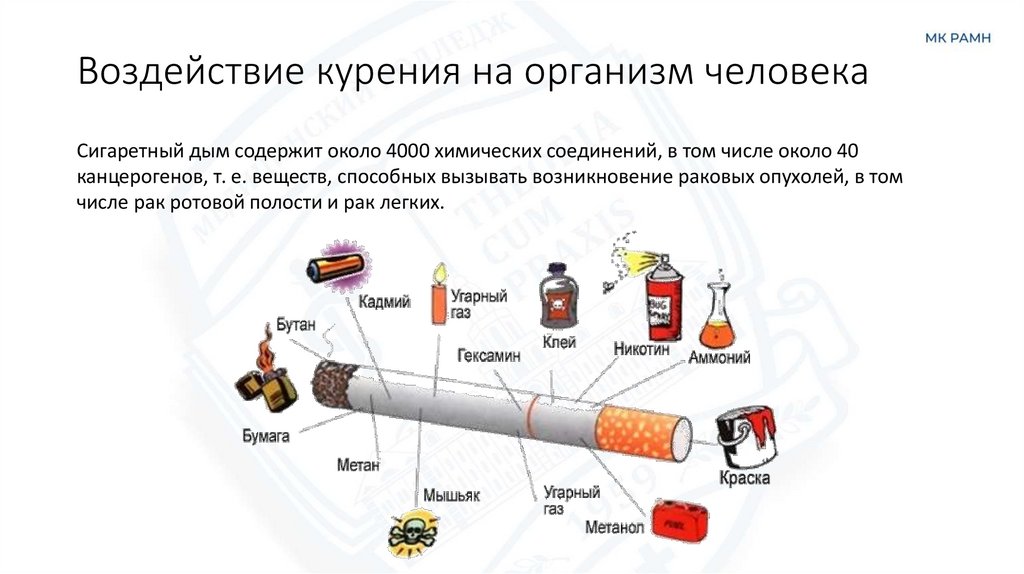 Воздействие курения на организм человека