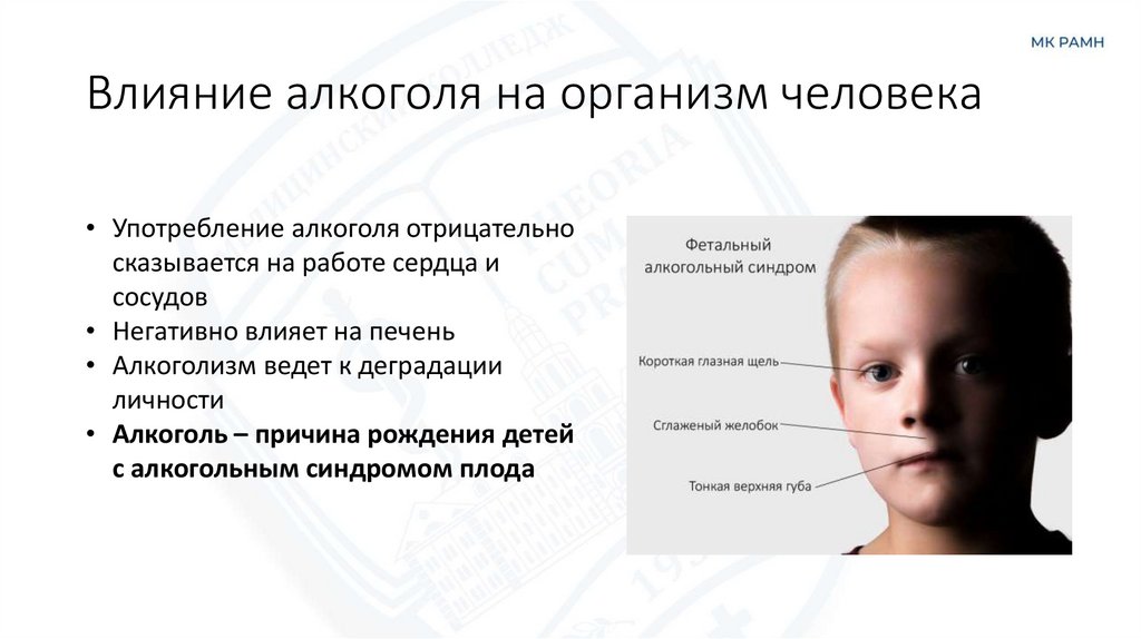 Влияние алкоголя на организм человека