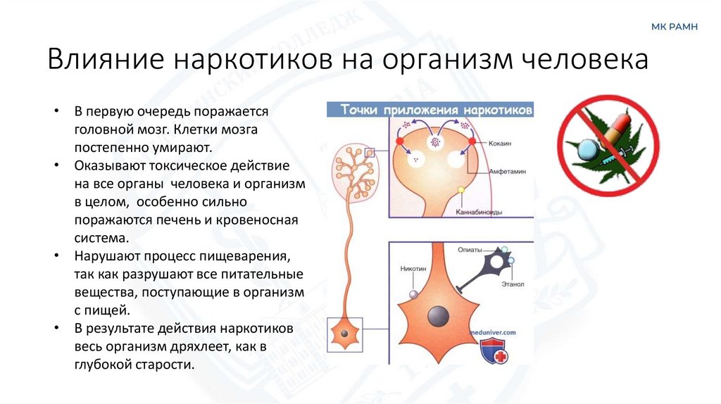 Влияние наркотиков на организм человека
