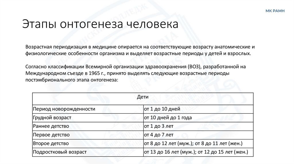 Этапы онтогенеза человека