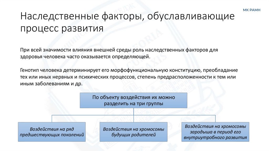 Наследственные факторы, обуславливающие процесс развития