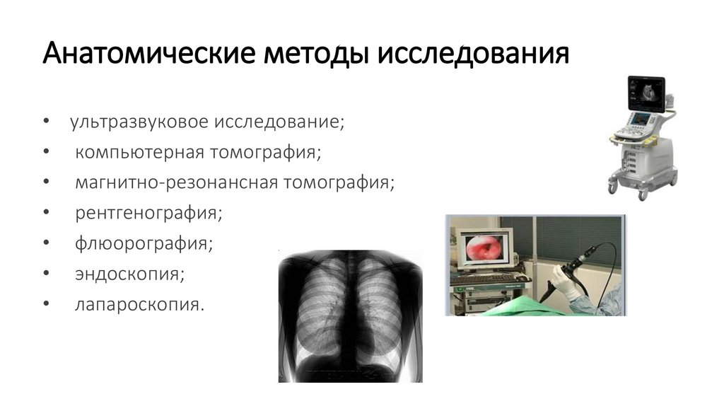 Анатомические методы исследования