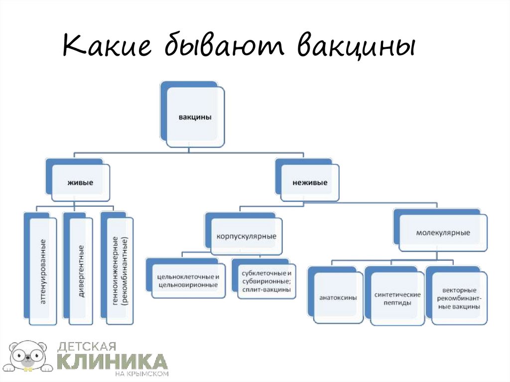 Какие бывают вакцины