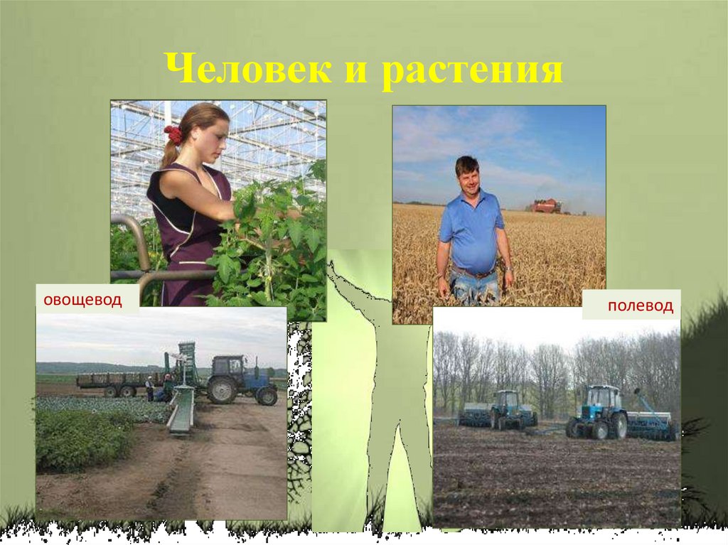 Человек и растения