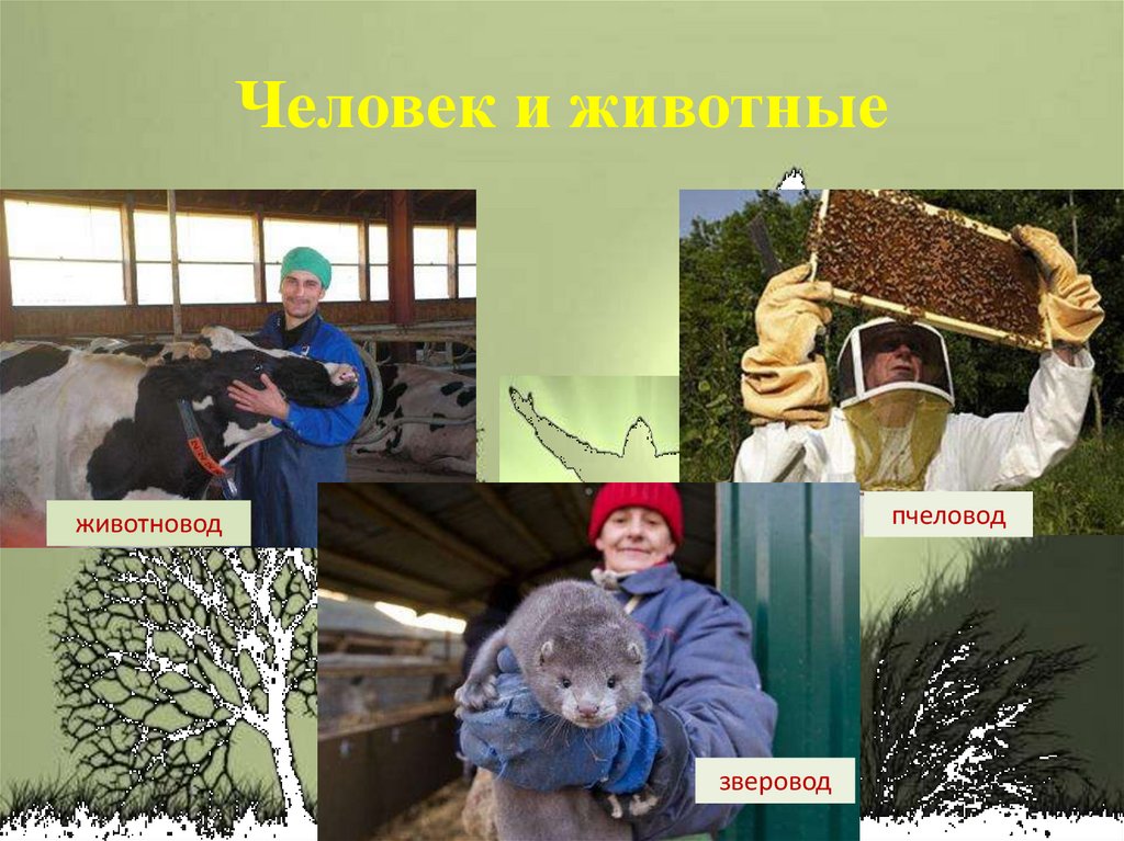 Человек и животные