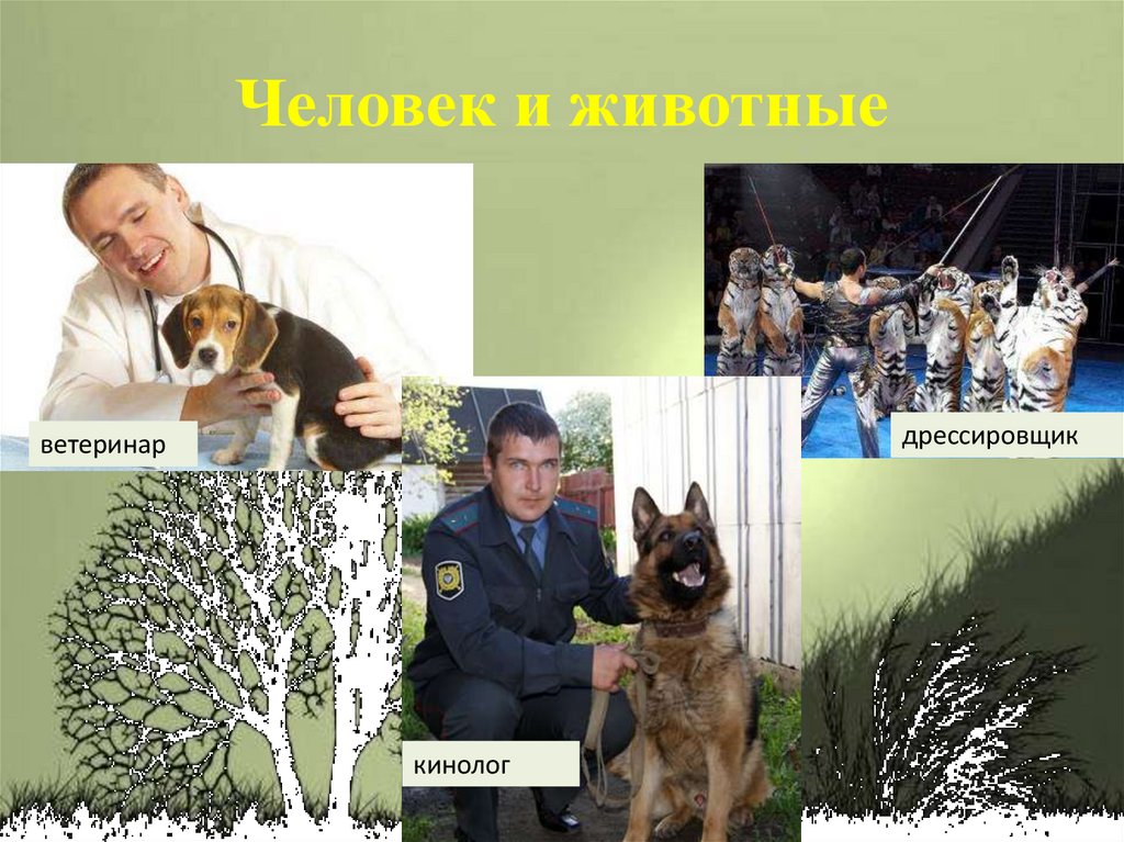 Человек и животные