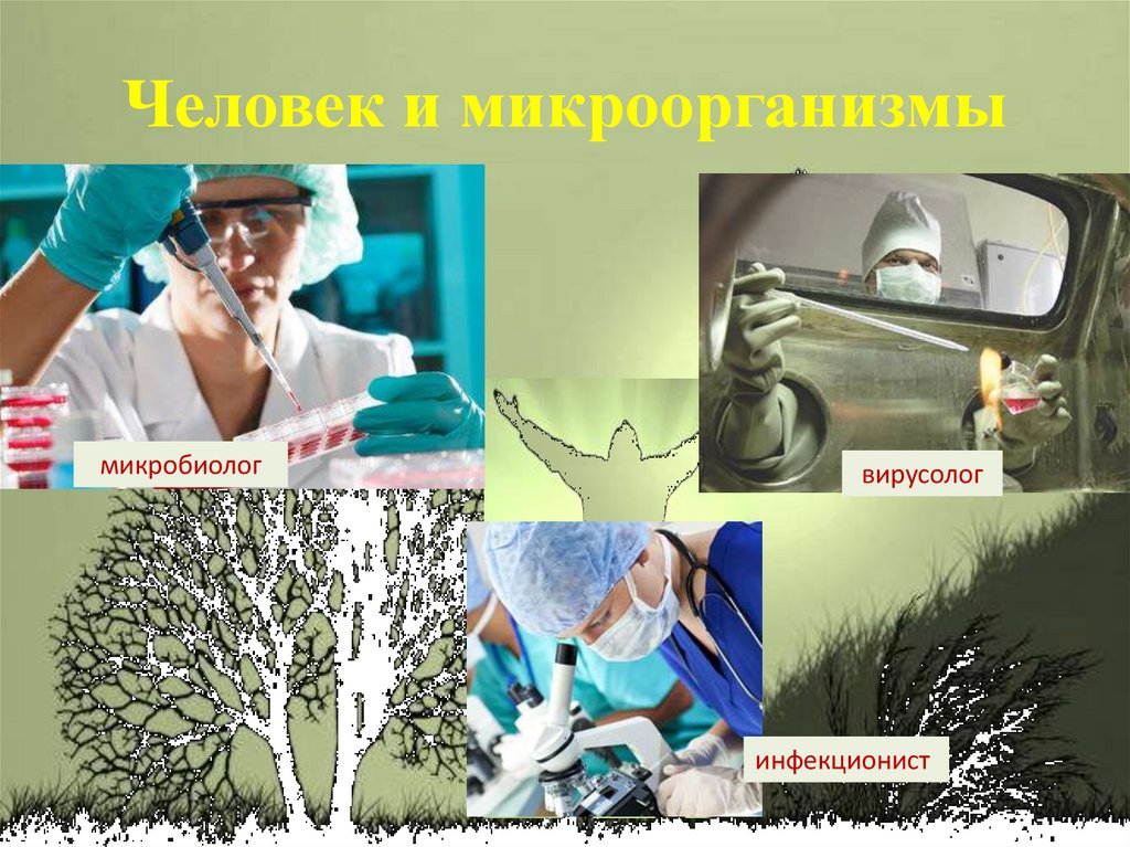 Человек и микроорганизмы