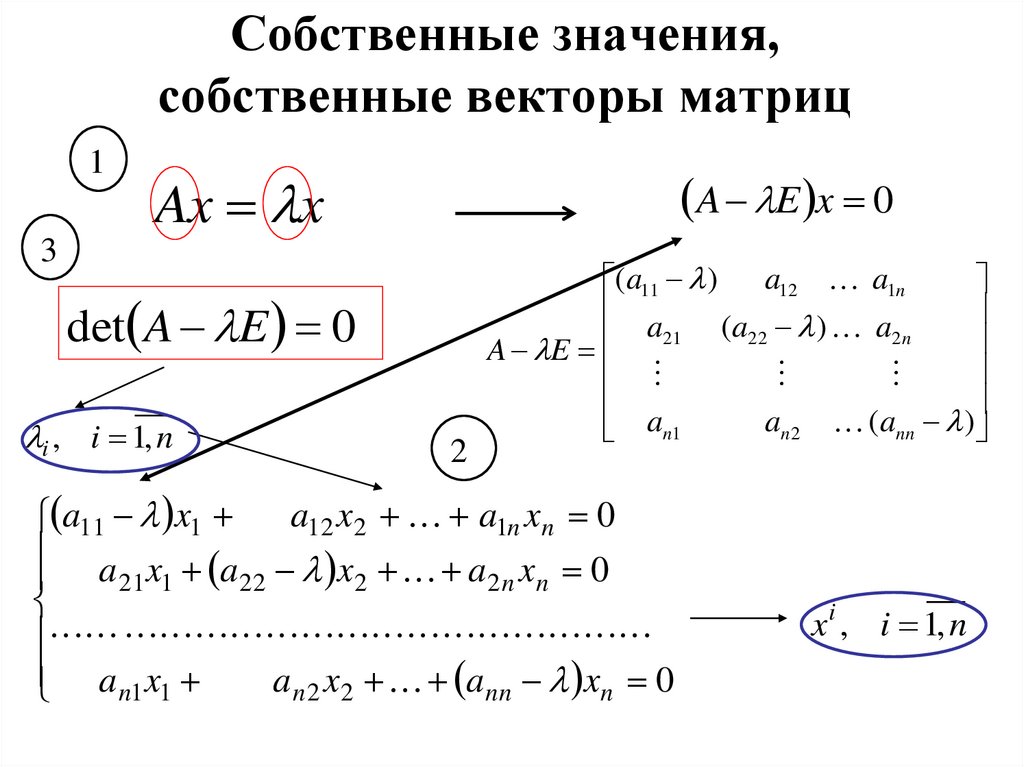 Собственные значения, собственные векторы матриц