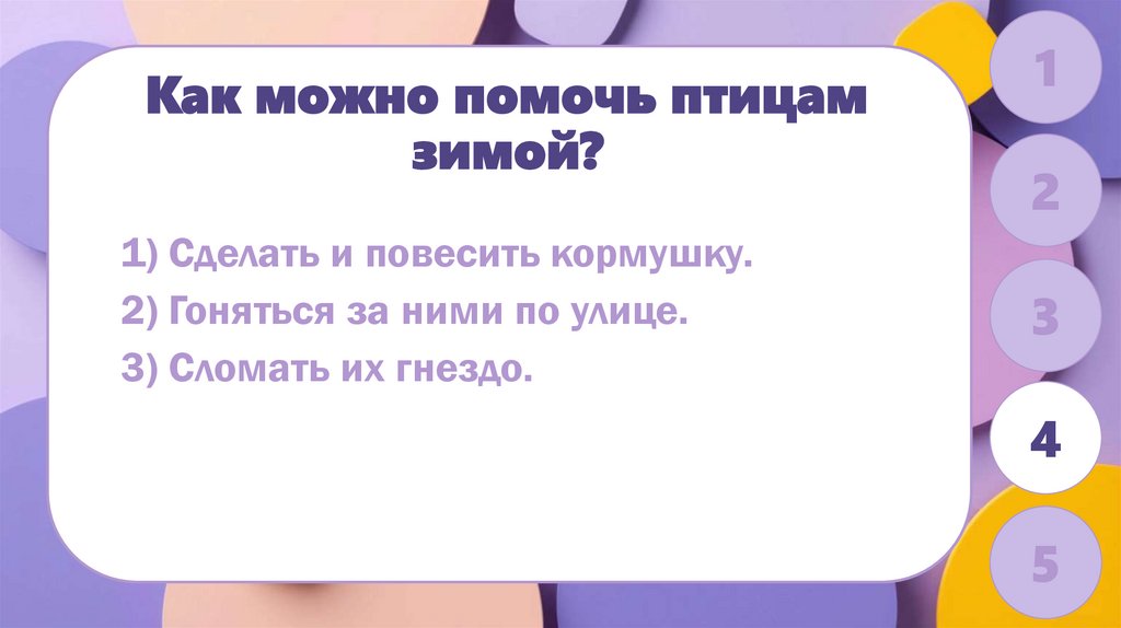 Как можно помочь птицам зимой?