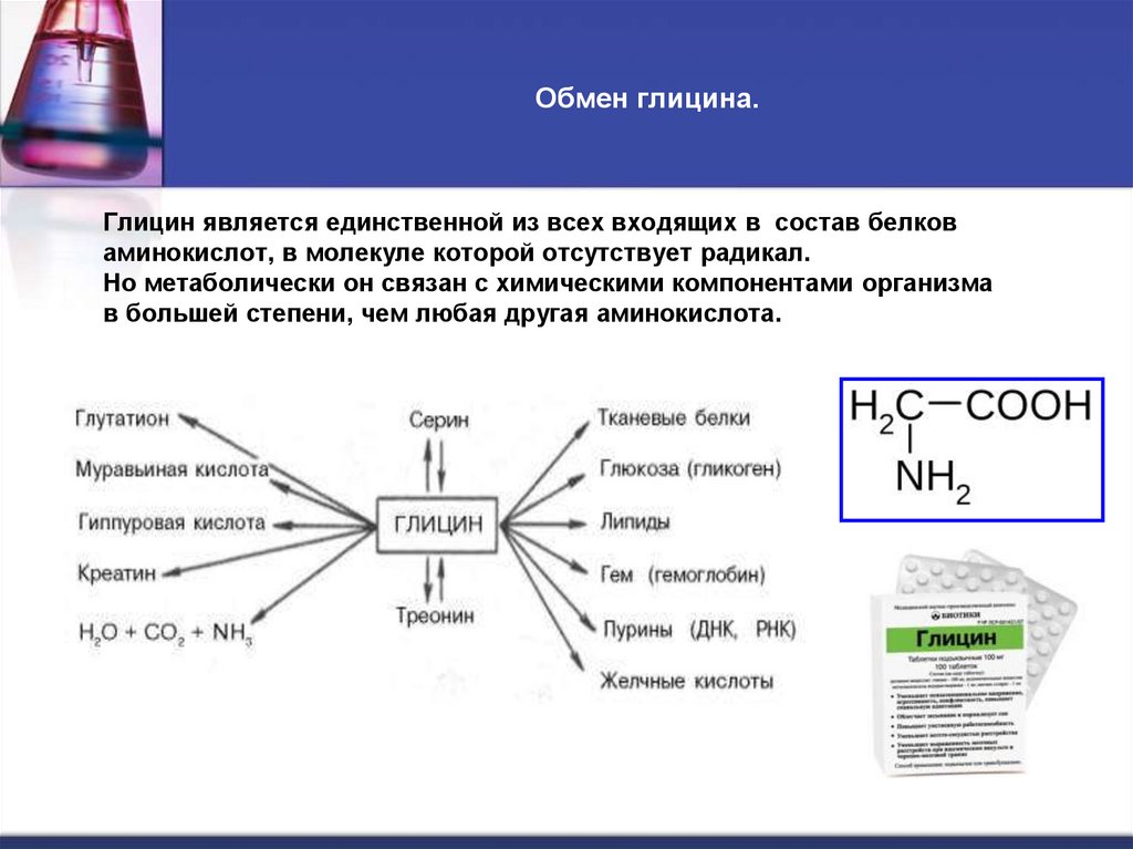 Обмен глицина.