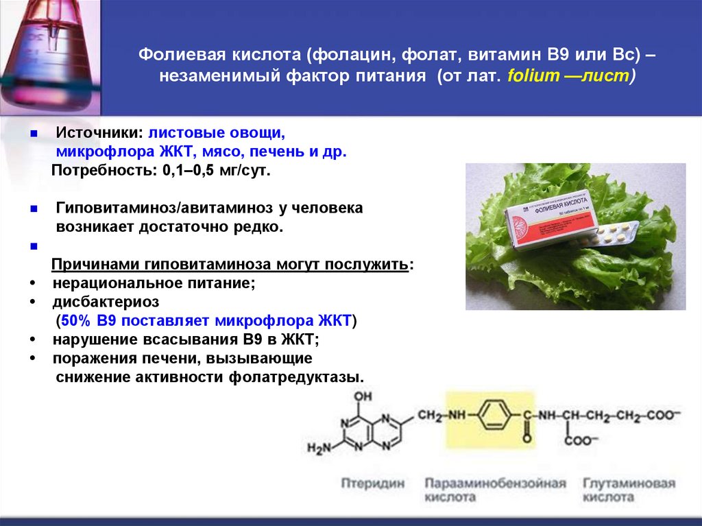 Фолиевая кислота (фолацин, фолат, витамин В9 или Вс) – незаменимый фактор питания (от лат. folium —лист)