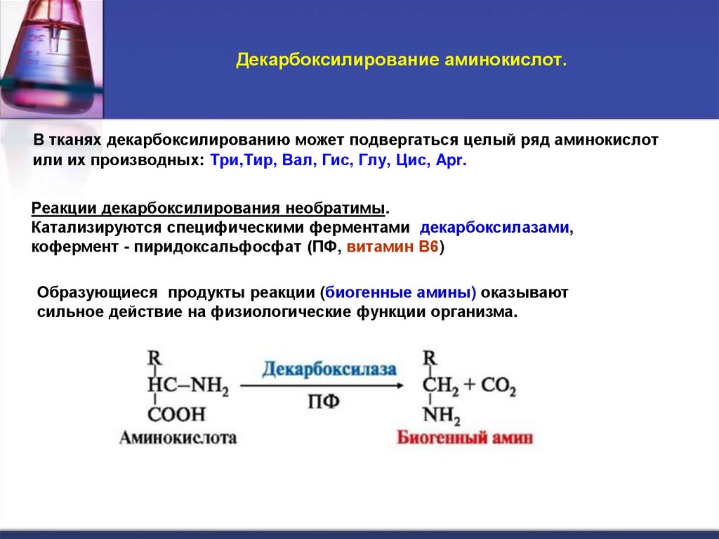 Декарбоксилирование аминокислот.