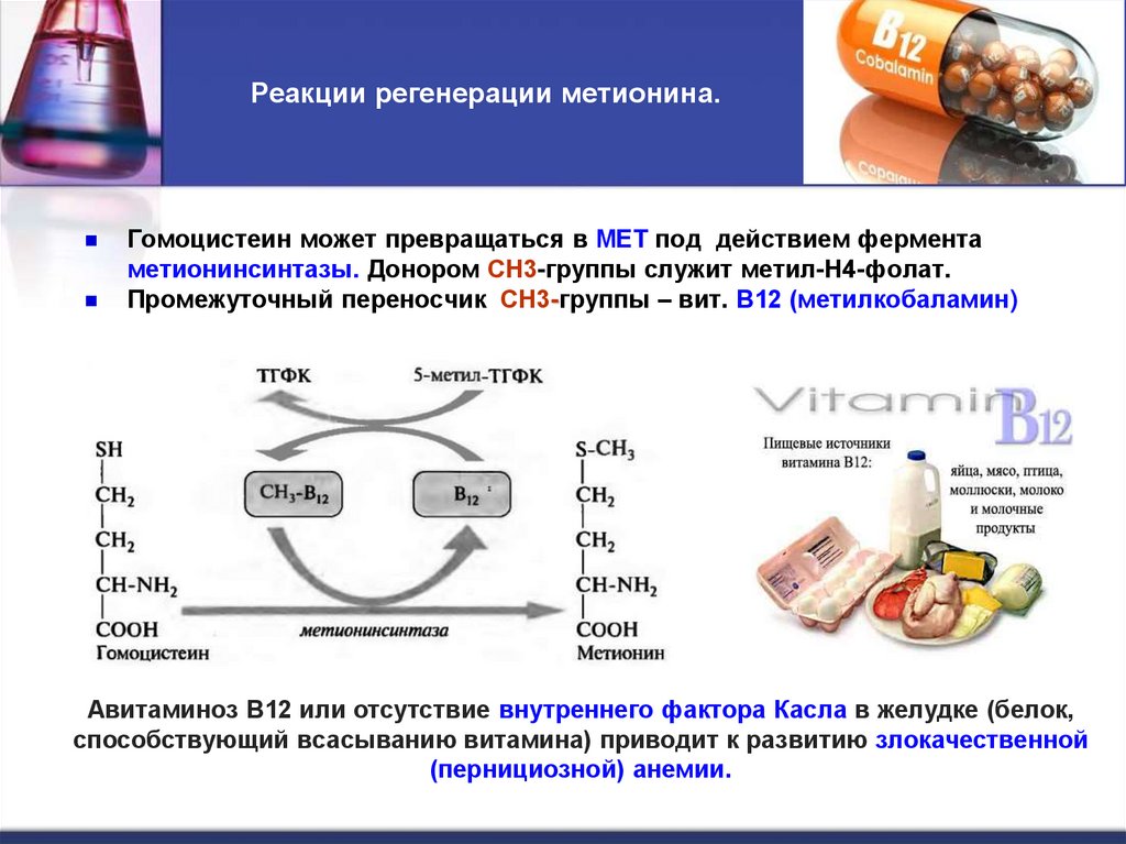 Реакции регенерации метионина.