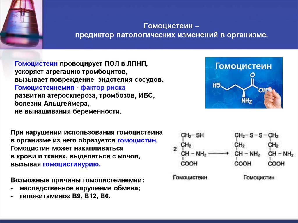 Гомоцистеин – предиктор патологических изменений в организме.