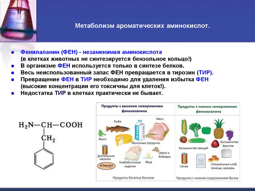 Метаболизм ароматических аминокислот.