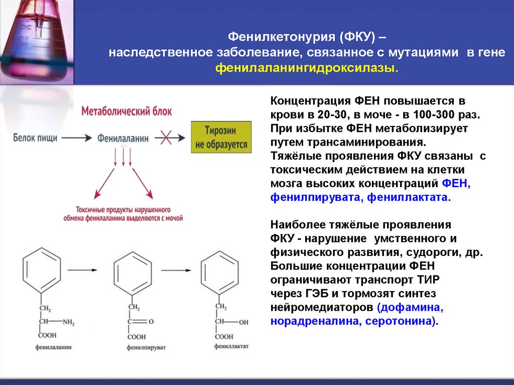 Фенилкетонурия (ФКУ) – наследственное заболевание, связанное с мутациями в гене фенилаланингидроксилазы.