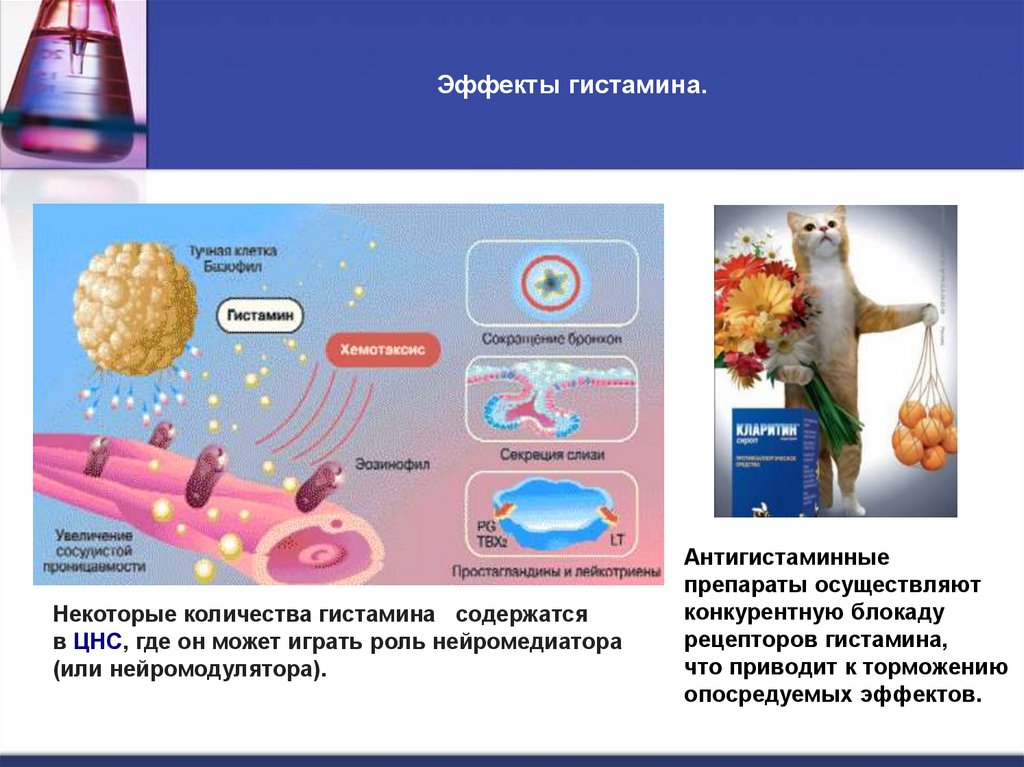 Эффекты гистамина.