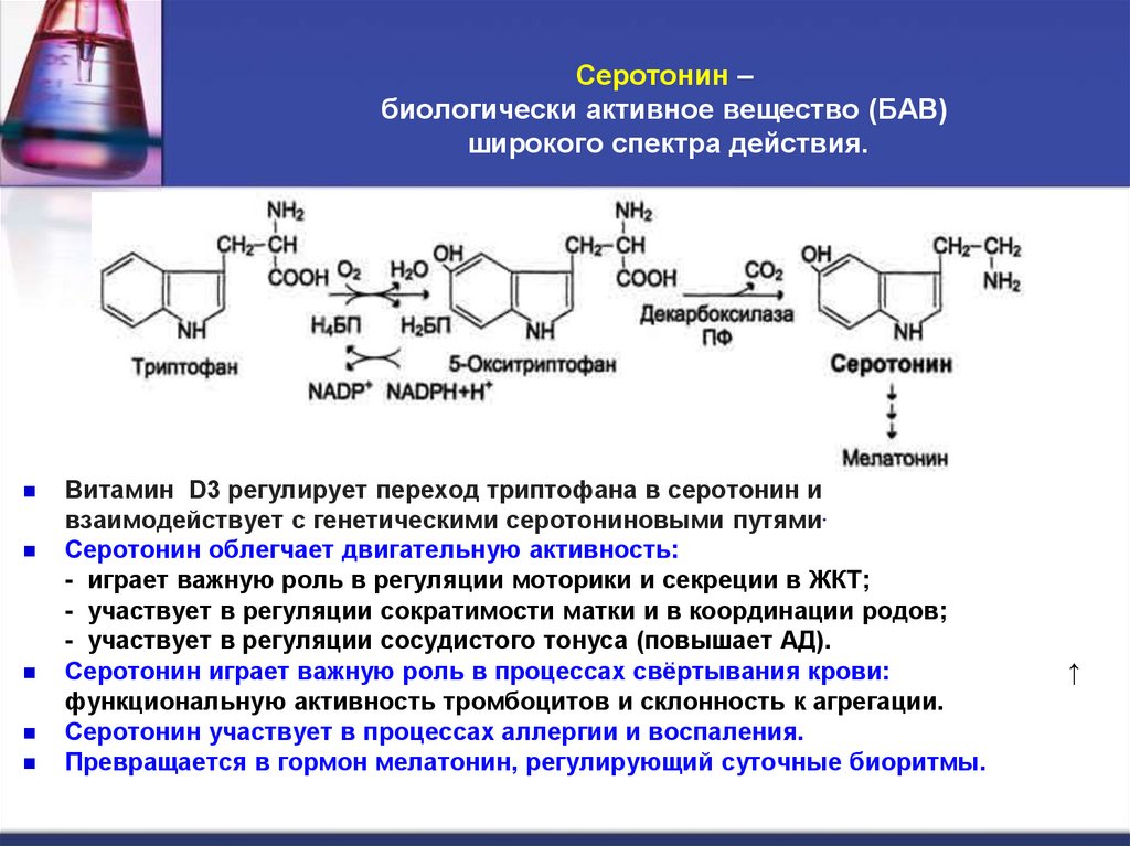 Серотонин – биологически активное вещество (БАВ) широкого спектра действия.
