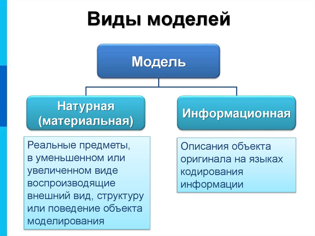 Виды моделей