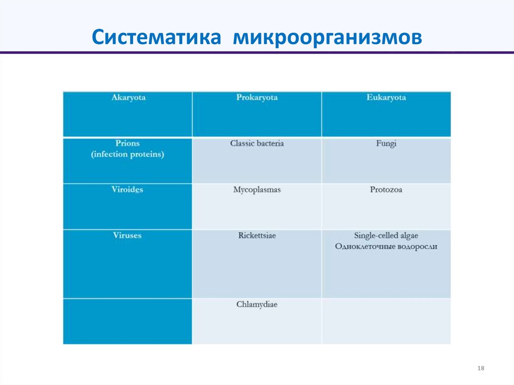 Систематика микроорганизмов