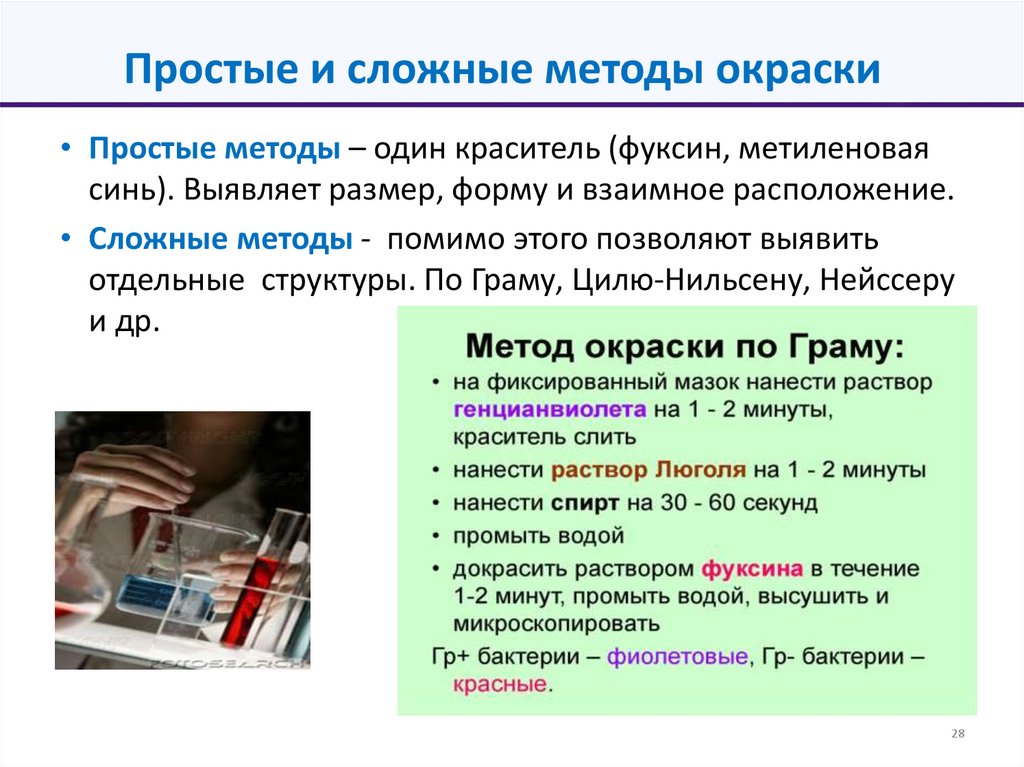 Простые и сложные методы окраски