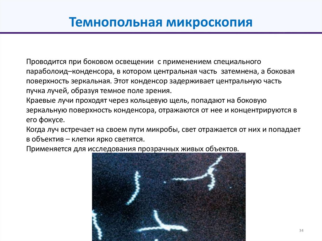 Темнопольная микроскопия