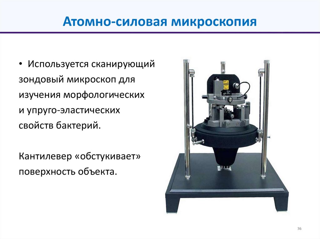 Атомно-силовая микроскопия