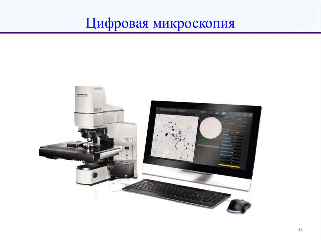 Цифровая микроскопия