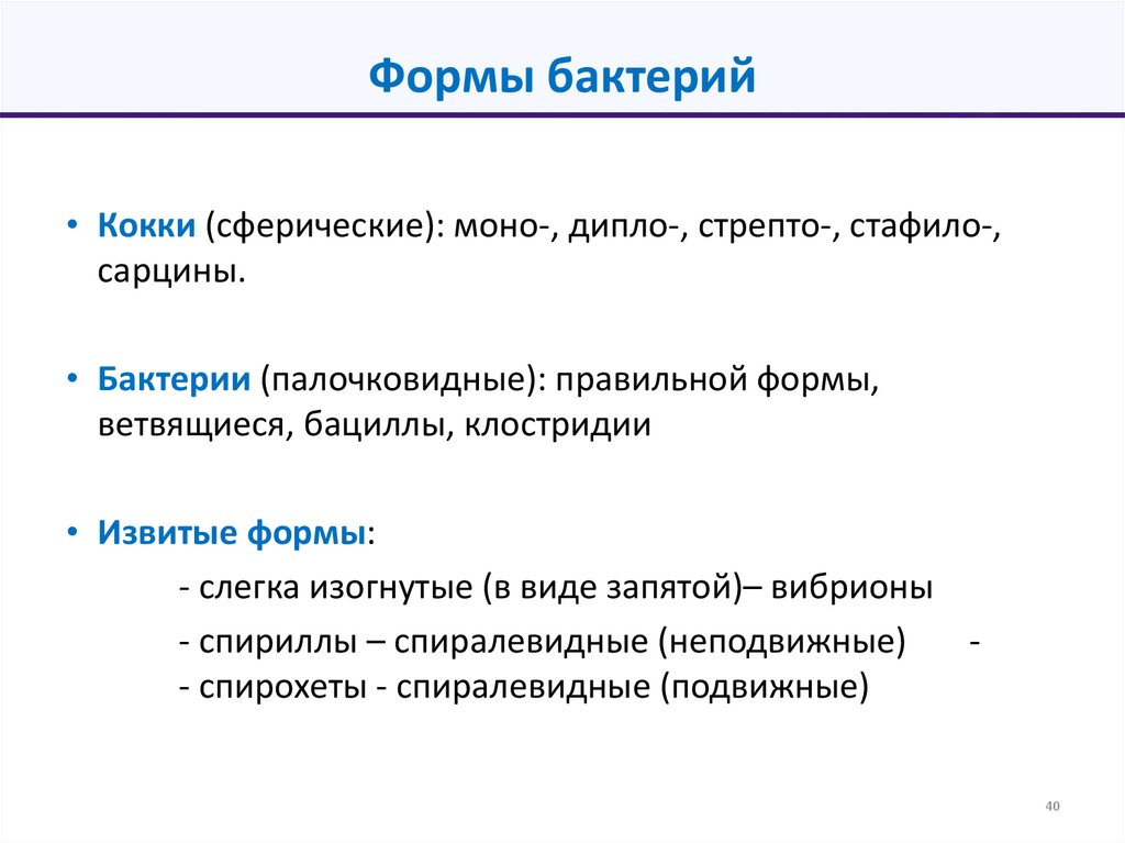 Формы бактерий