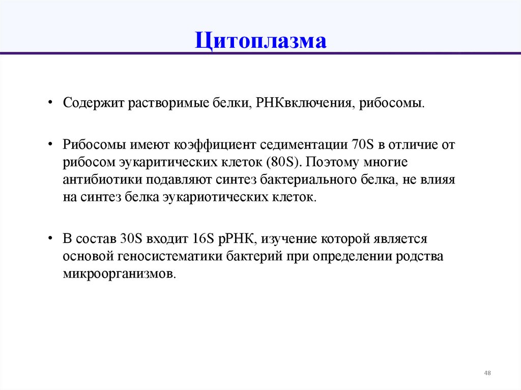 Цитоплазма