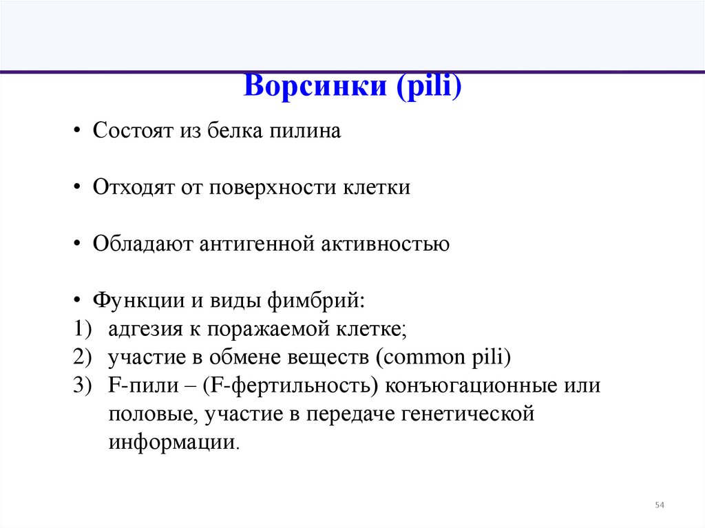 Ворсинки (pili)