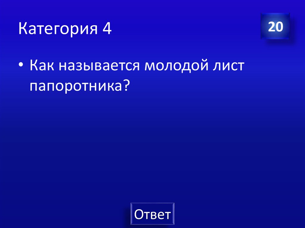 Категория 4