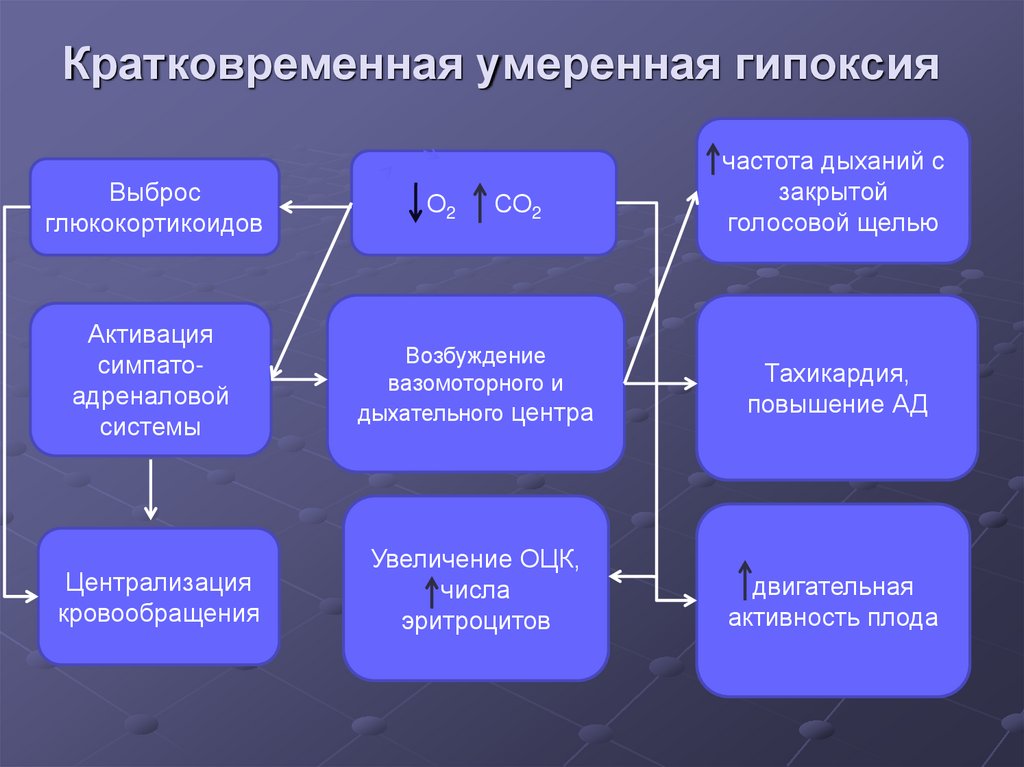 Кратковременная умеренная гипоксия