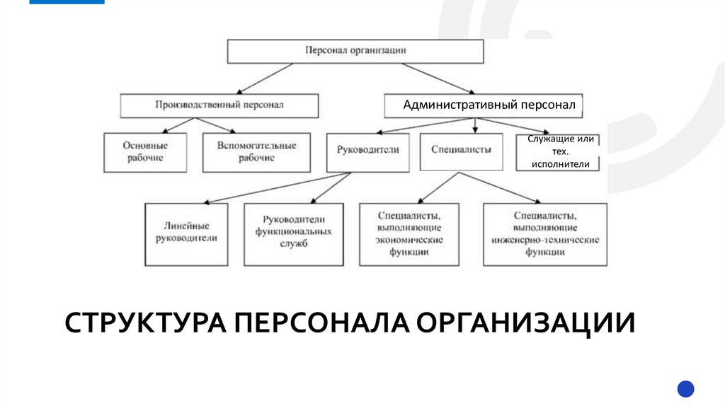 Структура персонала организации