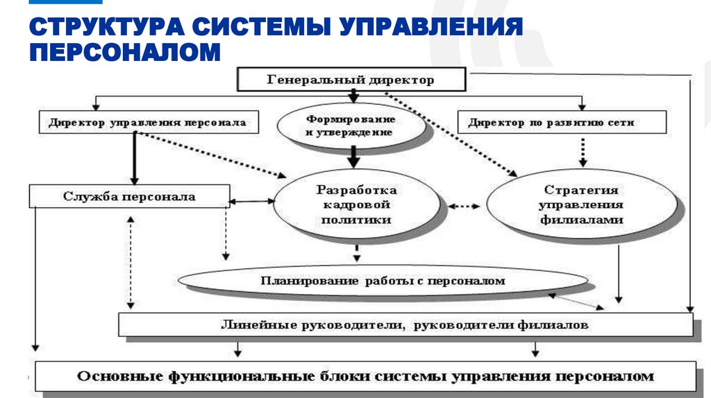 СТРУКТУРА СИСТЕМЫ УПРАВЛЕНИЯ ПЕРСОНАЛОМ
