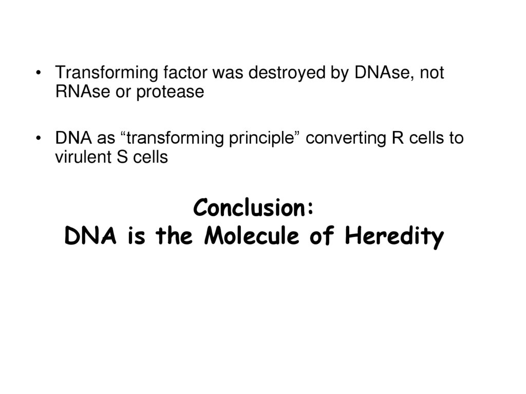 Conclusion: DNA is the Molecule of Heredity