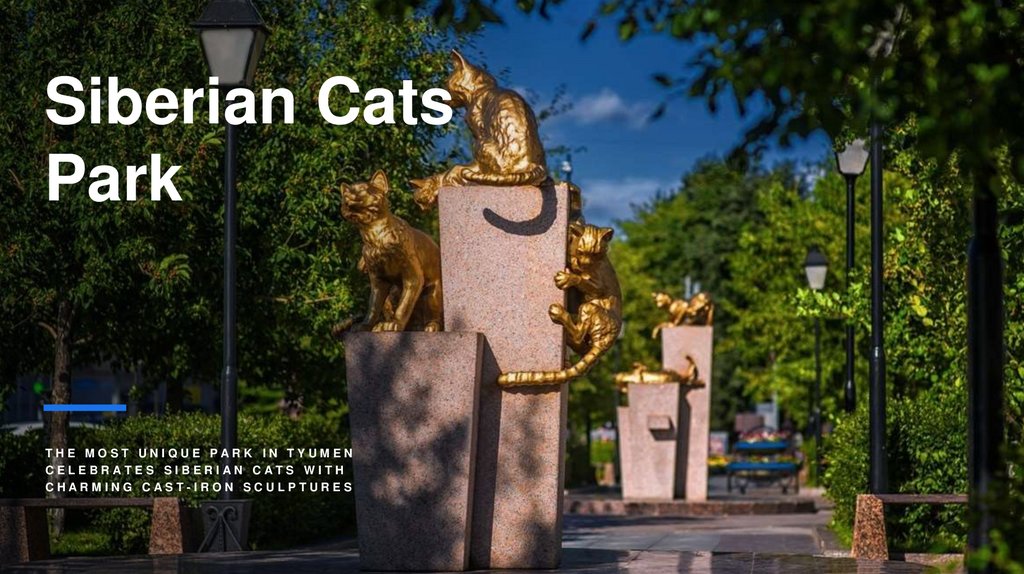 Siberian Cats Park