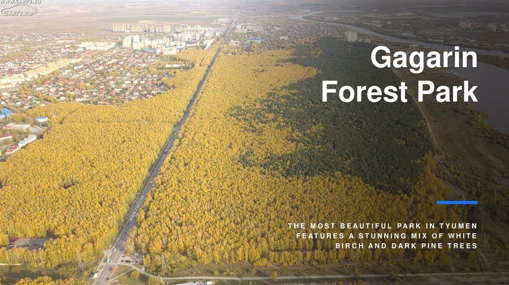 Gagarin Forest Park