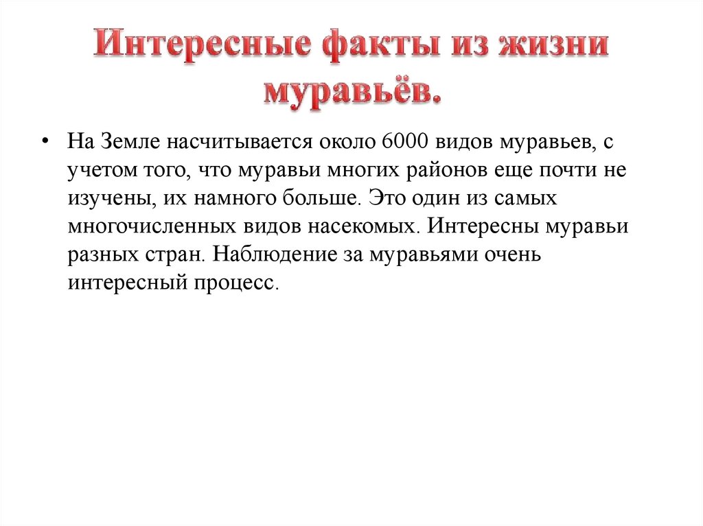 Интересные факты из жизни муравьёв.