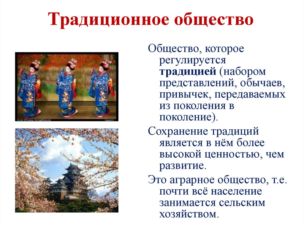 Традиционное общество 