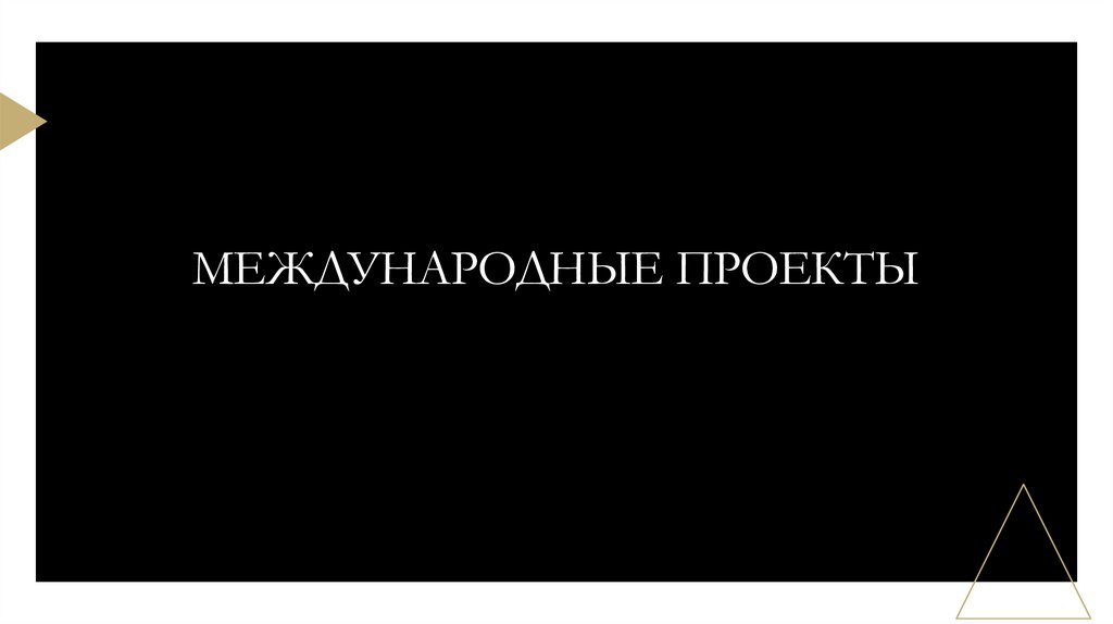 МЕЖДУНАРОДНЫЕ ПРОЕКТЫ