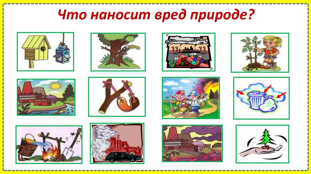 Что наносит вред природе?