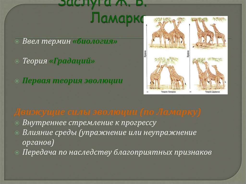 Заслуга Ж. Б. Ламарка