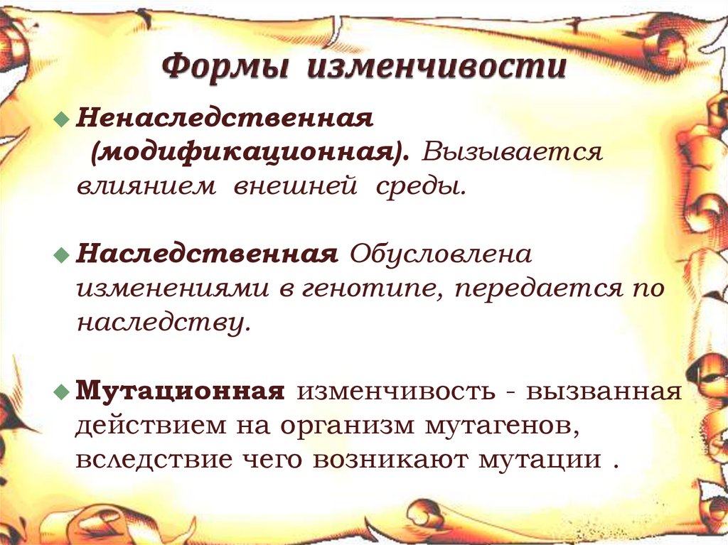 Формы изменчивости