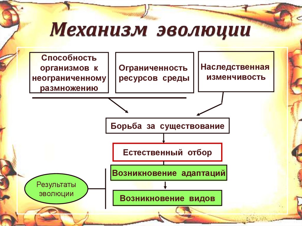 Механизм эволюции