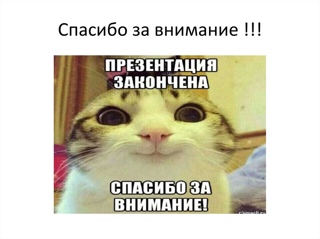Спасибо за внимание !!!