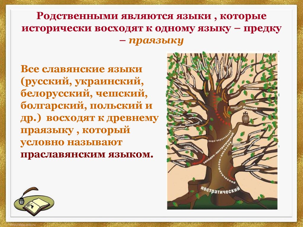 Родственными являются языки , которые исторически восходят к одному языку – предку – праязыку